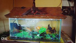 Clear Fish Tank With Brown Frame