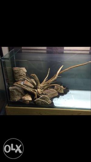 Driftwood and stones for freshwater aquarium