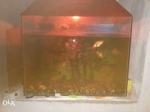 Fish Tank with 8 Colour full Fishes