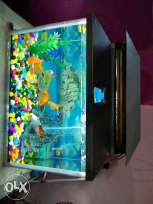 Fish aquarium 1.5feet with fish oxygen filter