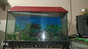 Fish aquarium white stand and water filter RS 