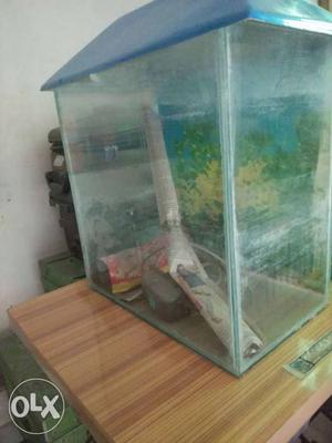 Fish aquarium with.. for sell urgent