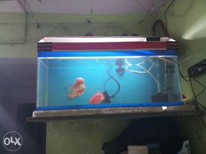 Fish tank 3×1fit