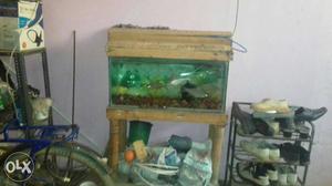 Fish tank and fish for sales