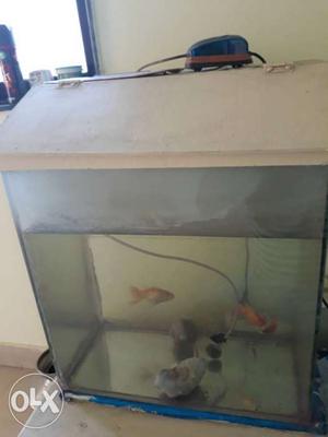 Fish tank for sale urgnt sale..