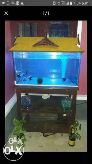 Fish tank new, 0