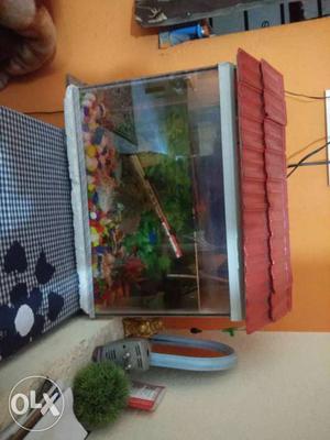 Fish tank urgent sell with filter light n all