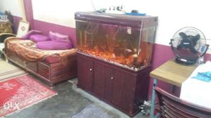 Fivestar important fish tank with full set up and