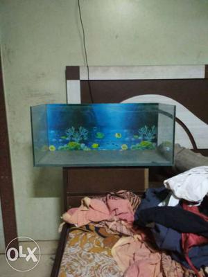 Good condition very expencive tank for important 24 inch