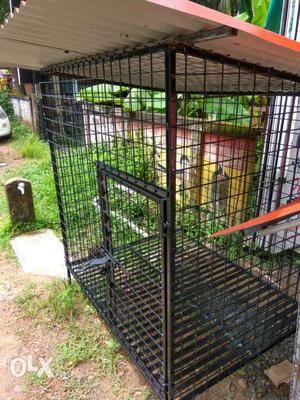 Heavy new cage.4 feet long.3 feet width.4feet