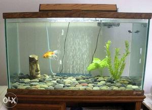Hello, get your own fish tank in lowest price