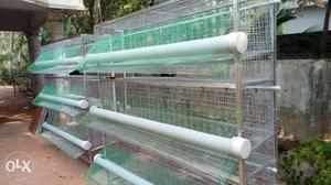 Hiteck hen cage for sale in tvm