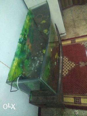 I want to sell my 5.5feet fish aquarium with