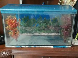 It's a fish tank just 3 months used with background and