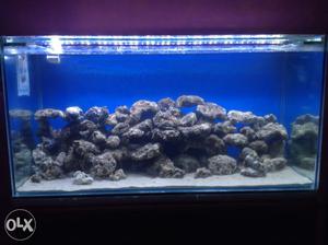 Marine aqurium is condition very good if you by