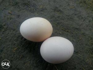 Natu Kodi eggs for sale (each 20 Rs.) 10eggs