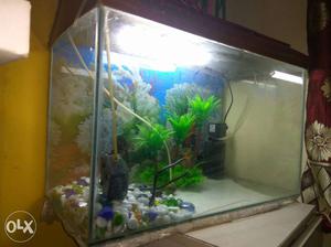 New fish tank with filter,led light, sand,tree