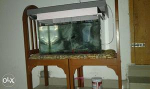New fish tank with top