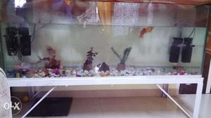 New full set 4 feet Aquarium with fishes, decoration & stand