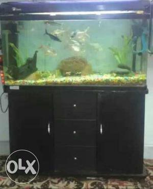Rectangular Black-framed Fish Tank With Cabinet