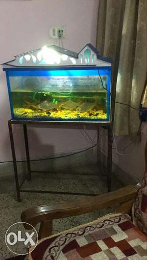Rectangular Blue And Yellow Fish Tank