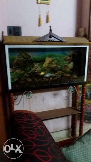 Rectangular Brown And White Wooden Frame Fish Tank