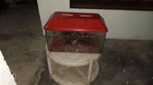 Red Roofed aquarium with stones and filter