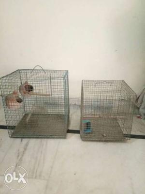 Two Stainless Steel Pet Cages