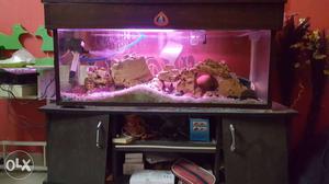 Wooden fish tank with cupboard stand and all