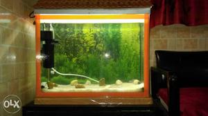 inches fishtank with accessories Including
