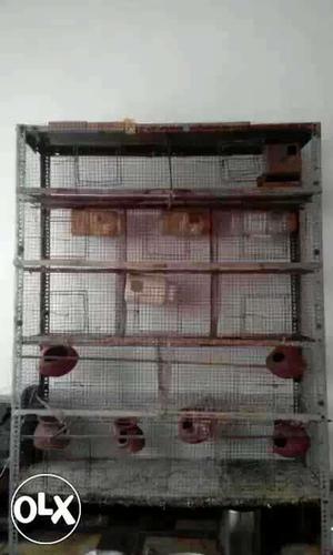 12 rack cage and used cage for sale