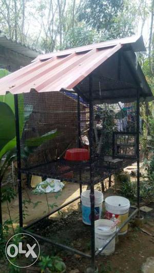 Birds cage 4×3 size good condition.only 1 month