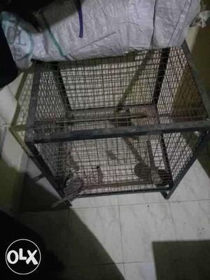 Birds cage for urgent sale fixedprice big heavy cage
