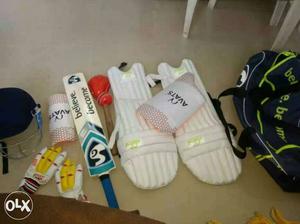 Cricket kit in very new condition with SG bat