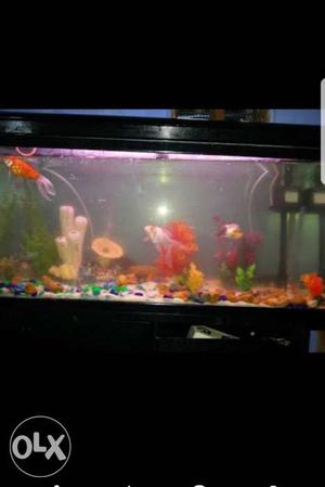 Fish tank 2years used good condition