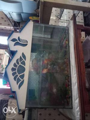 Fish tank  With fishes, mother,