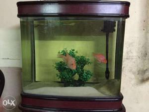 Inported Fish tank