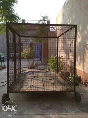 Iron black cage for dog