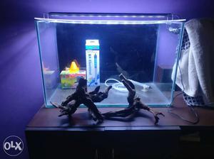 One week old aquarium with accessories