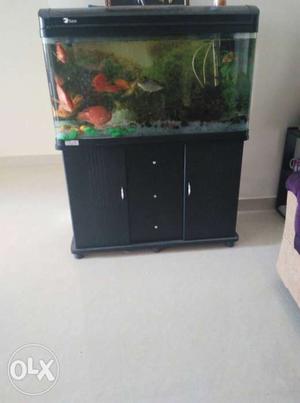 Rectangular Black Framed Fish Tank With Cabinet