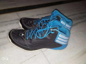 Pair Of Black-and-blue Adidas Basketball Shoes size.- 10