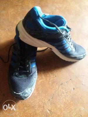 Pair Of Blue Adidas Running Shoes
