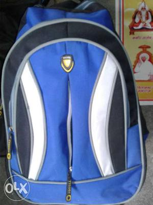 Blue, White, And Black Backpack