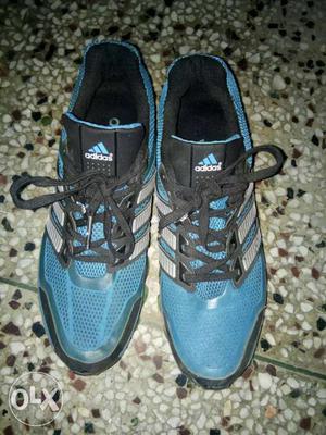 Blue-and-black Adidas Running Shoes