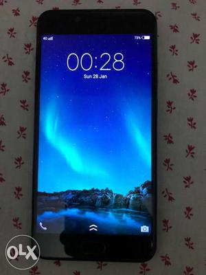 It’s vivo,superb condition,with lots of