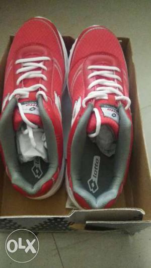 Lotto sports shoes Negotiable