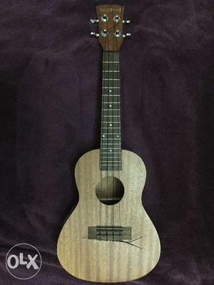 Kadence 24 inch (concert size) ukulele in built