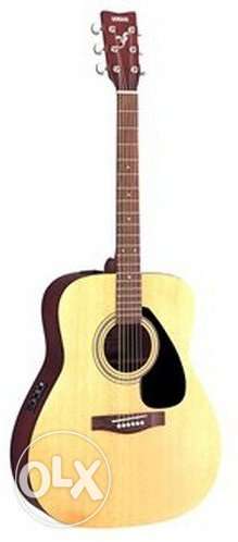 Spruce Top Acoustic Guitar