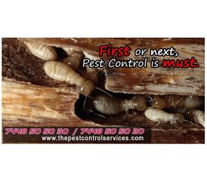 Termite Control Services Theni