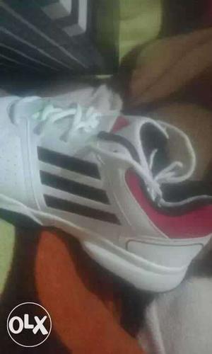 Brand new shoes size 43 addidas